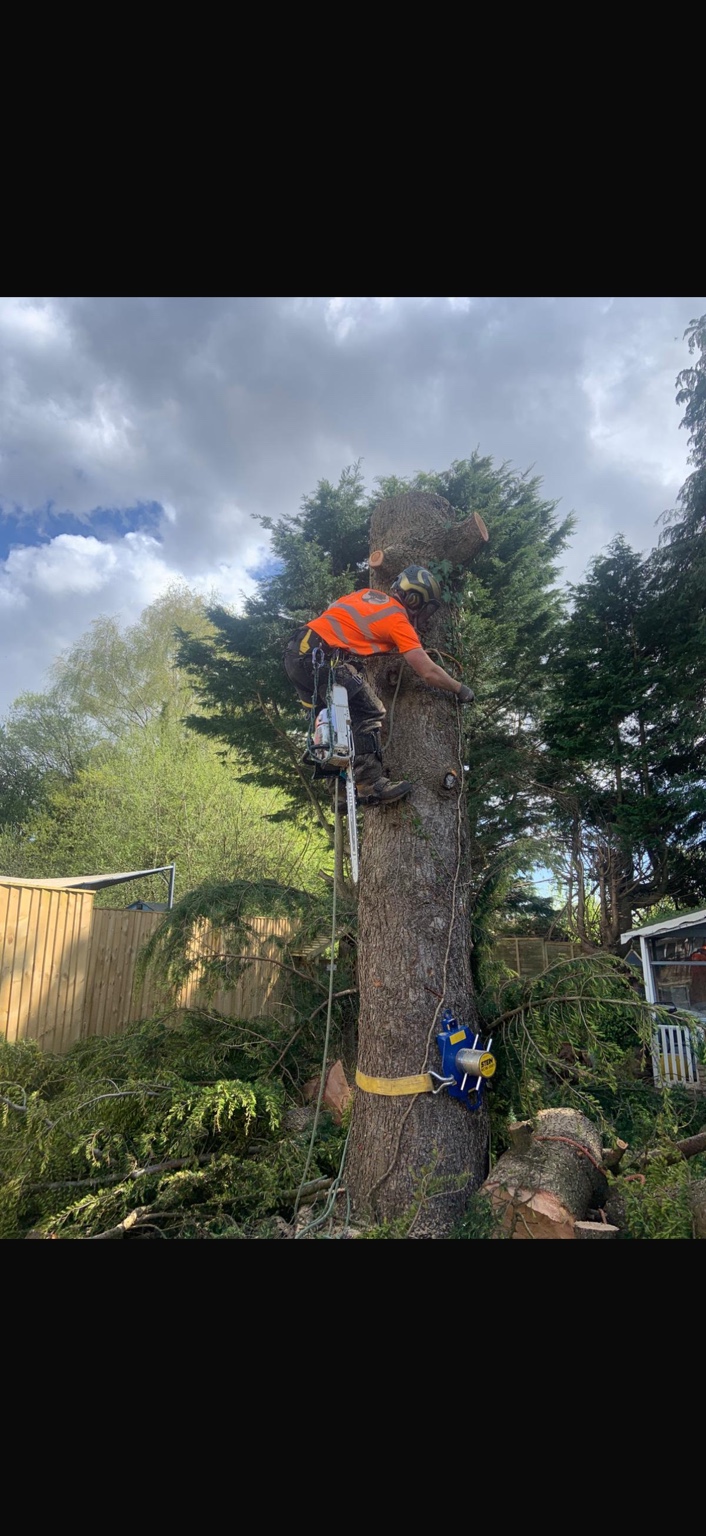 Recent Y Prennydd tree and countryside work in South Wales