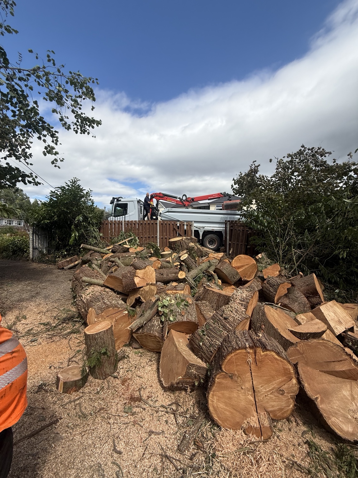 Recent Y Prennydd tree and countryside work in South Wales