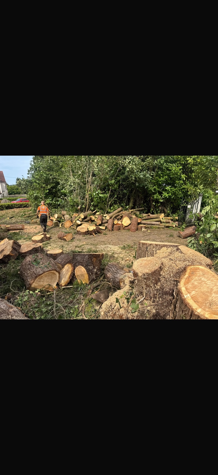 Recent Y Prennydd tree and countryside work in South Wales