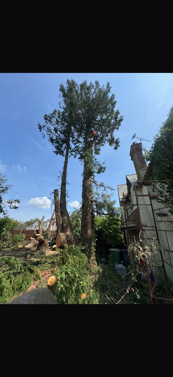 Recent Y Prennydd tree and countryside work in South Wales